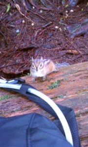 Photograph: "Hey! Down Here" by Tara Farquhar