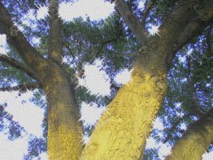 Photography, digitally altered: "Somewhere Out There" by Lani Longshore